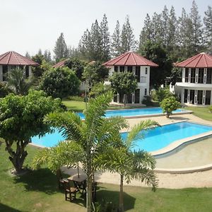 Mango Spa & Resort